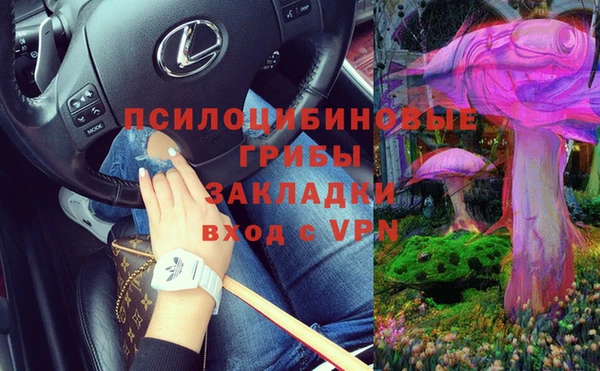а пвп мука Верея