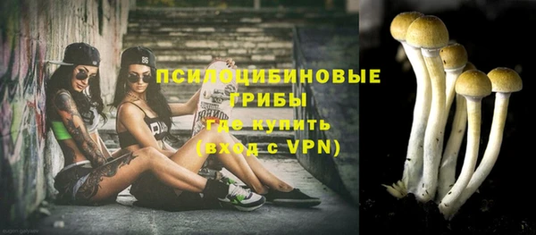 а пвп мука Верея